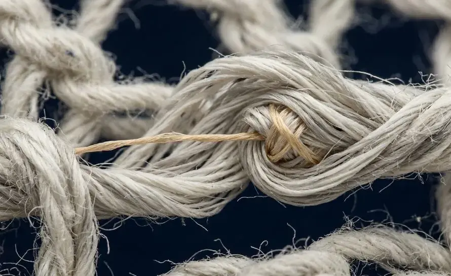 What is spandex? A golden spandex core inside a sheath of cotton or polyester fibers, zoomed in from a knit swatch