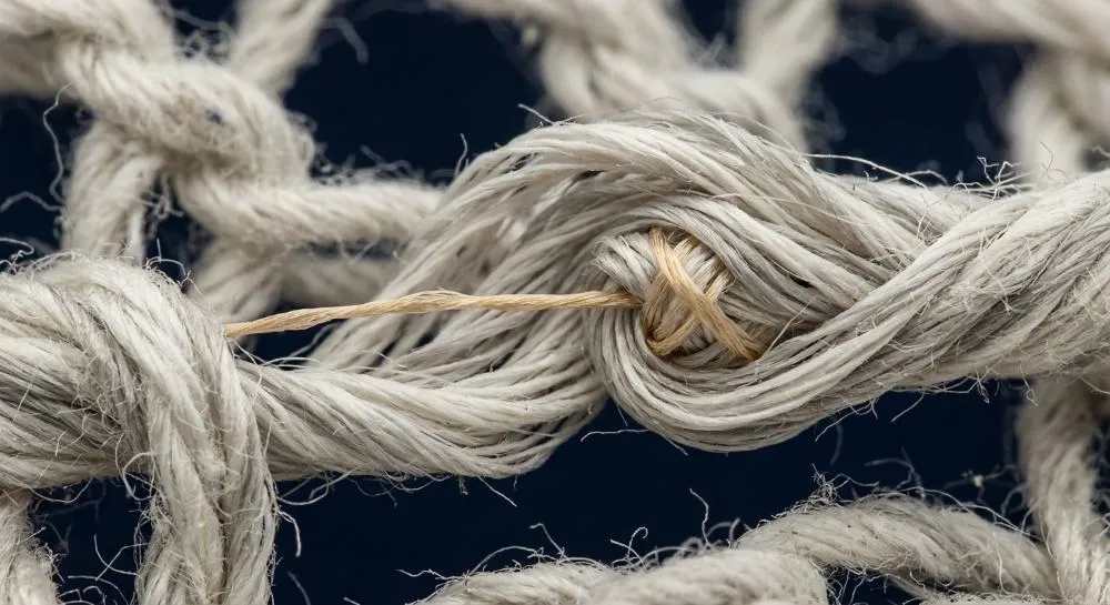 What is spandex? A golden spandex core inside a sheath of cotton or polyester fibers, zoomed in from a knit swatch